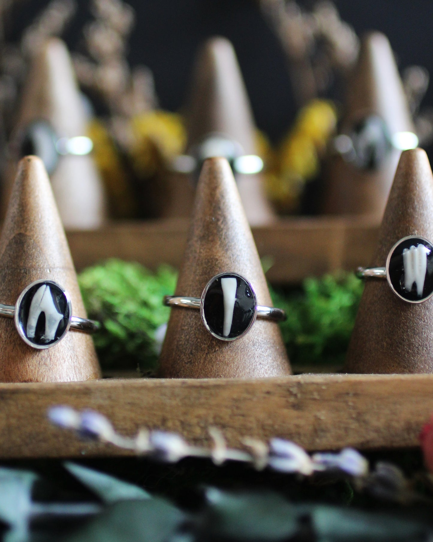 Stainless Steel Tooth Rings