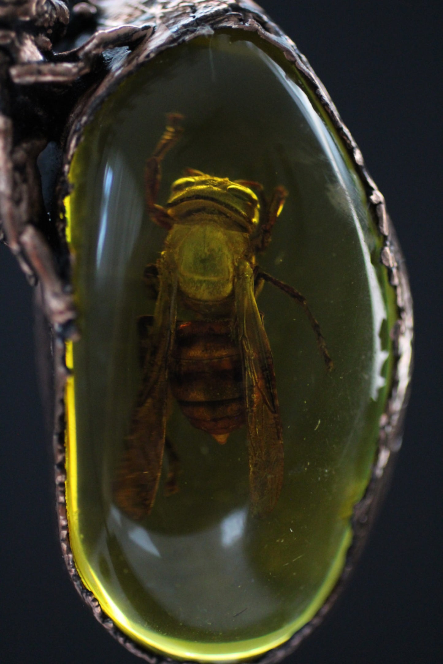 Wasp in Amber Pendant