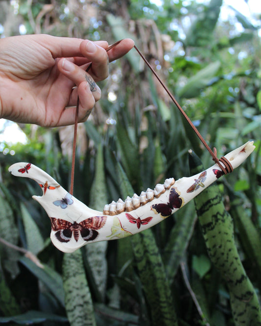 Vintage Moth Deer Jawbones