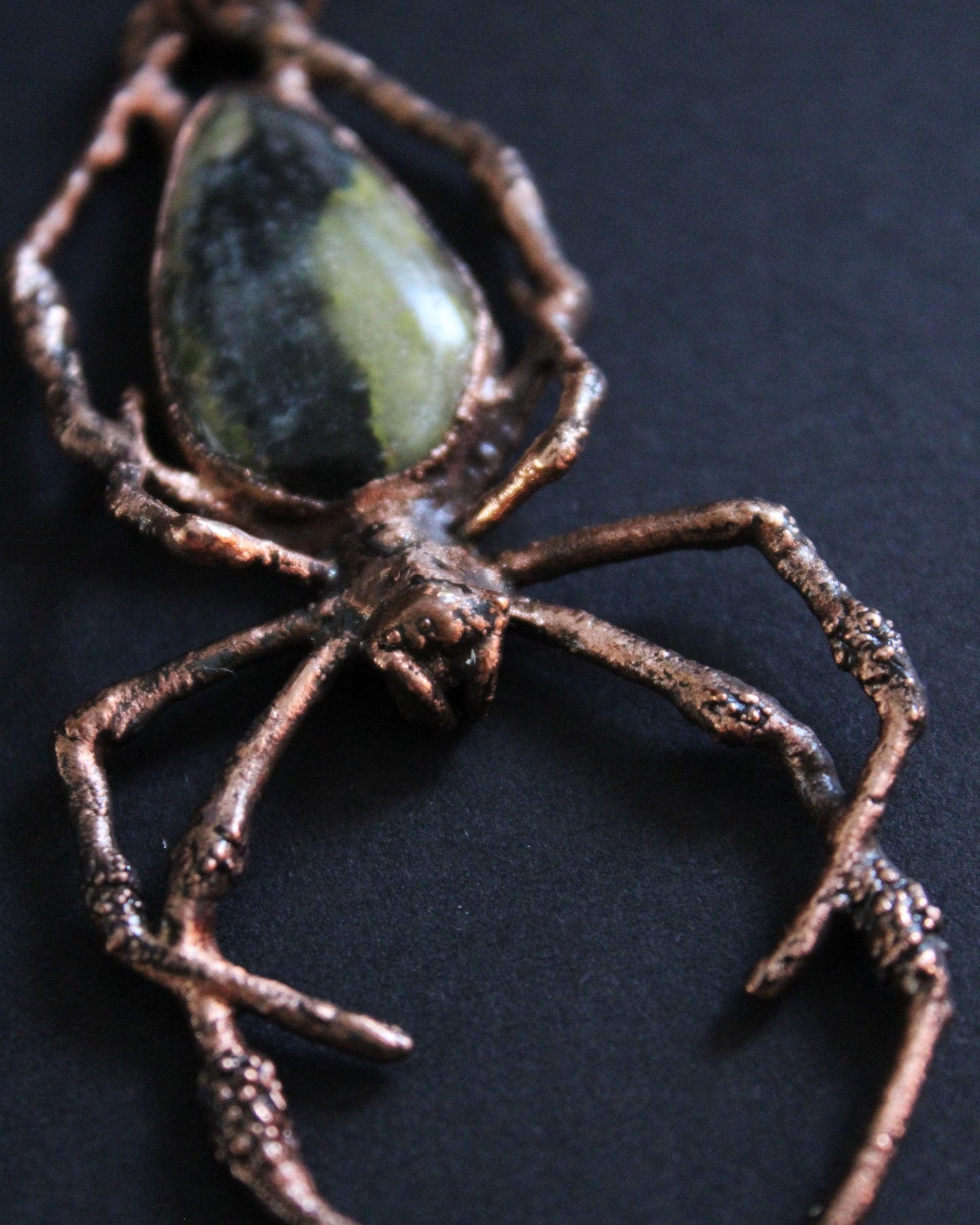 Bumblebee Jasper Orb Weaver
