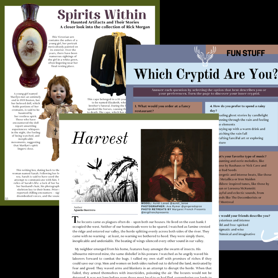 ODDMAG Volume 2 (Digital Copy)