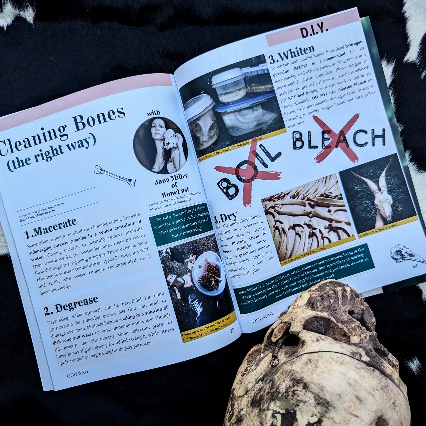 ODDMAG Volume 1 (Digital Copy)