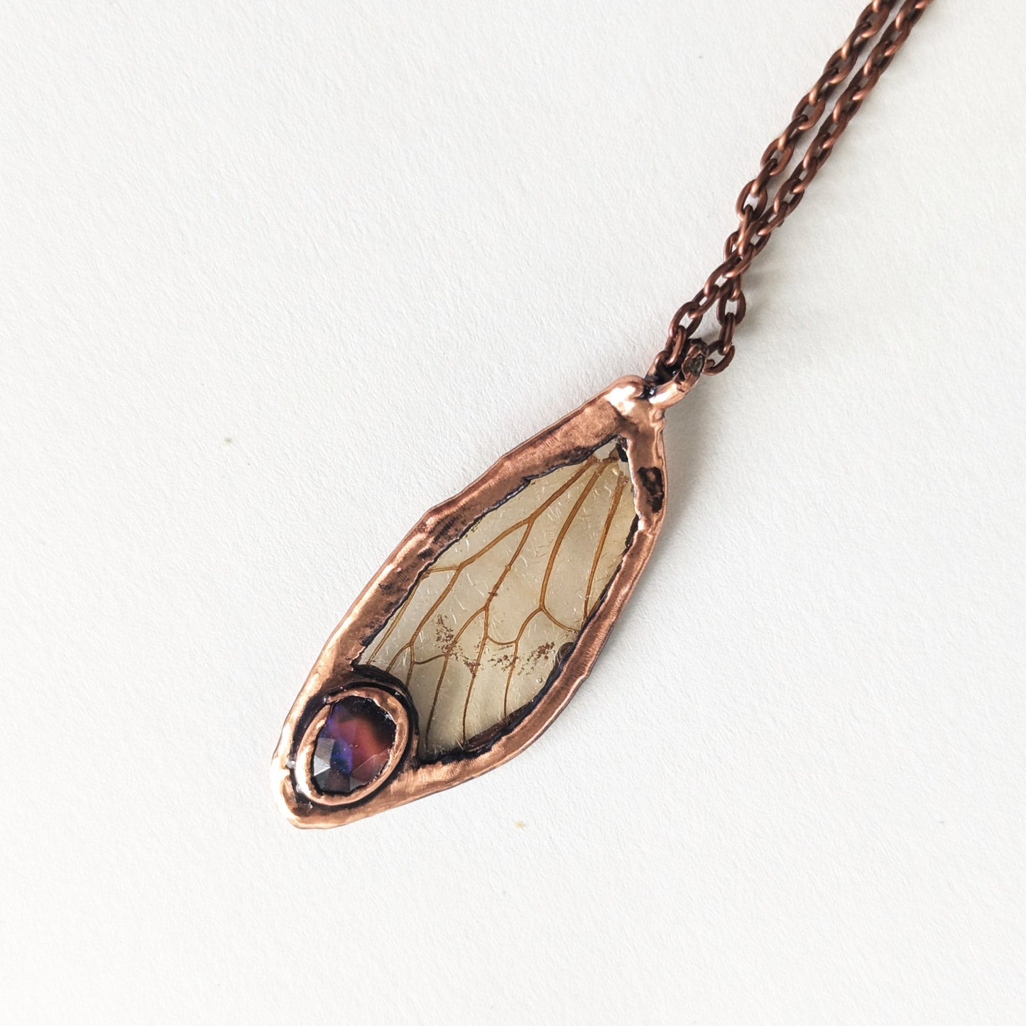 Transparent Opal Cicada Wing