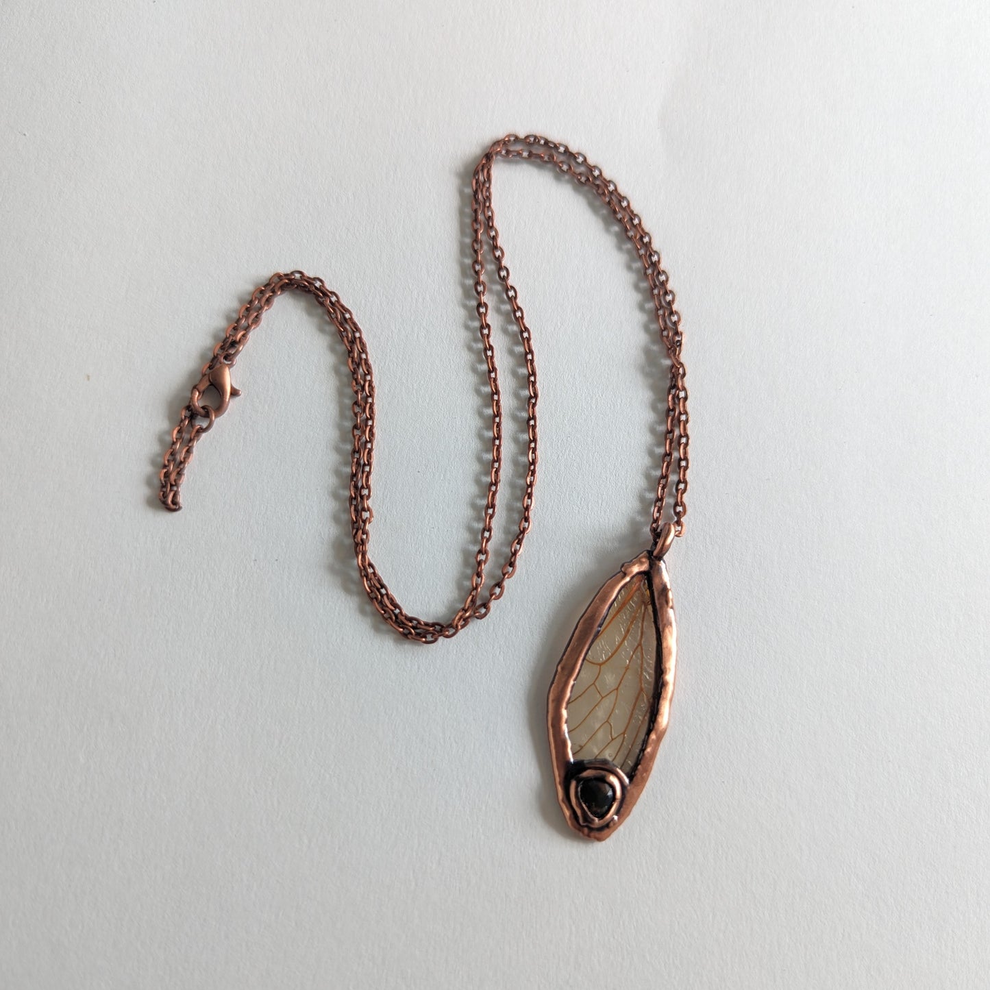 Transparent Opal Cicada Wing