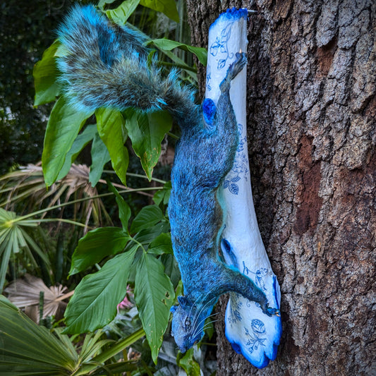 Delft Squirrel