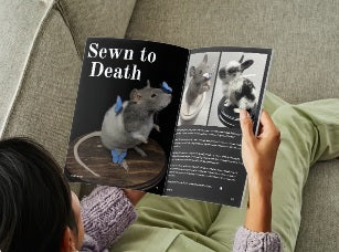 ODDMAG Volume 1 (Digital Copy)