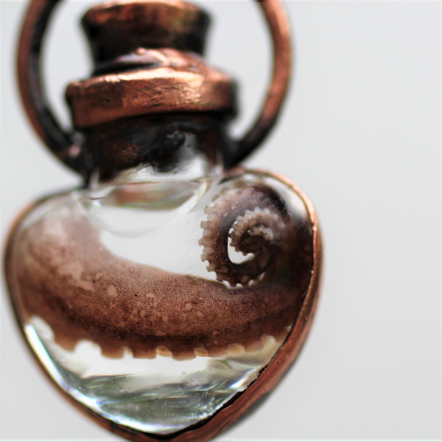 Octopus Tentacle Heart Vials