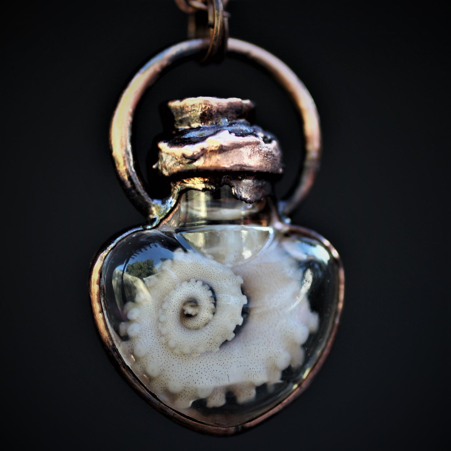 Octopus Tentacle Heart Vials