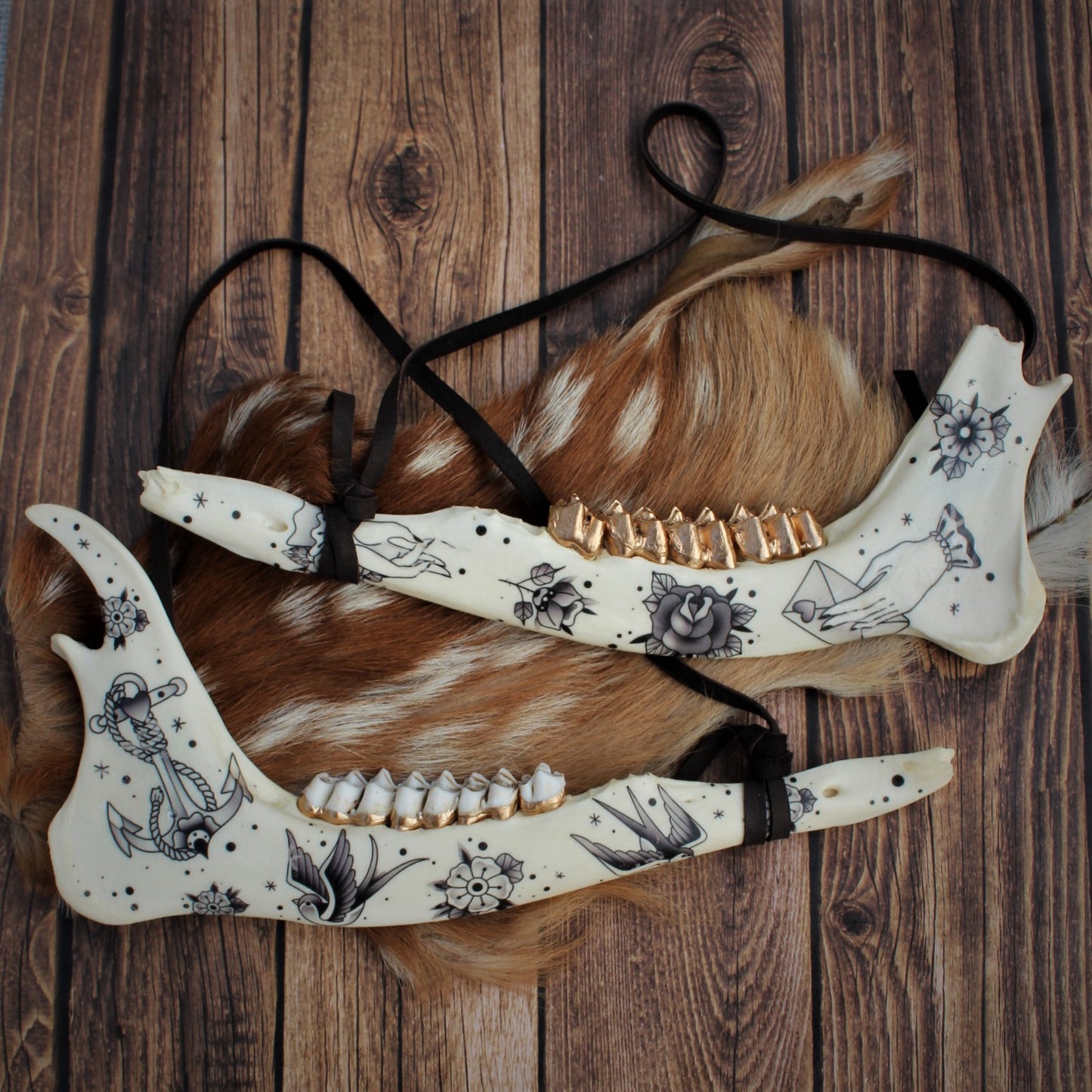 Black and Grey Deer Jawbones