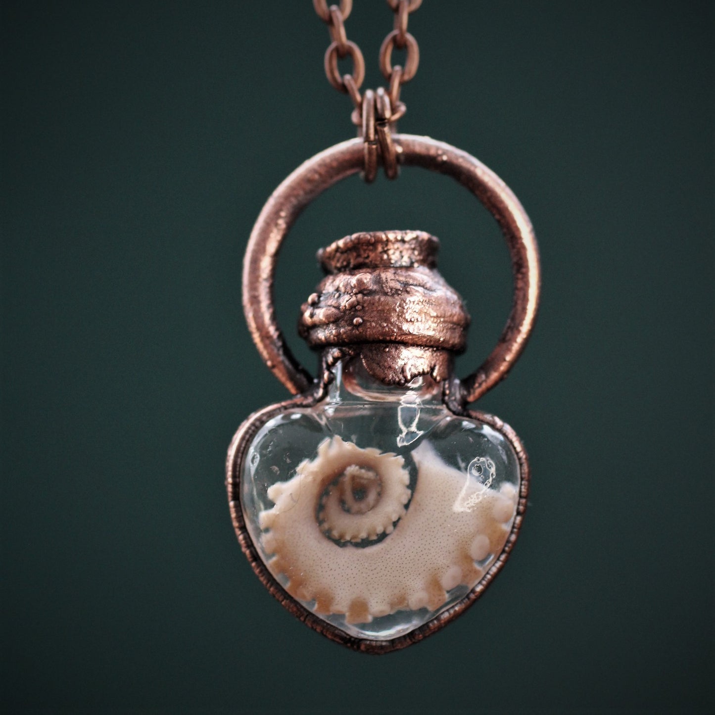 Octopus Tentacle Heart Vials
