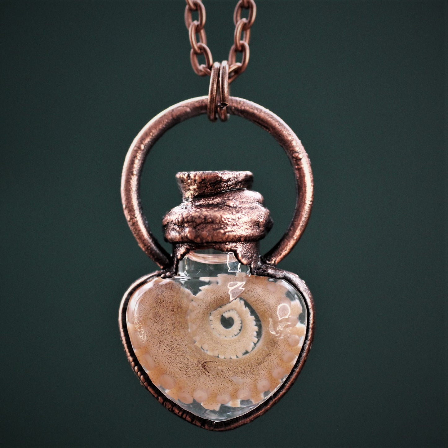 Octopus Tentacle Heart Vials