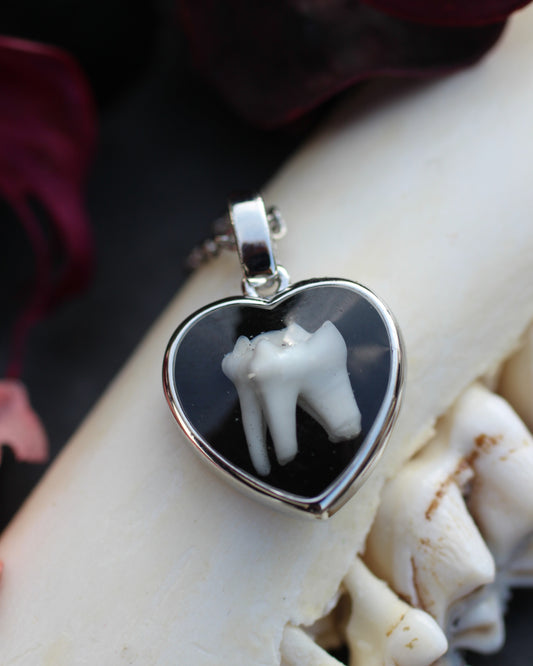 Tooth and Bone Heart Necklaces