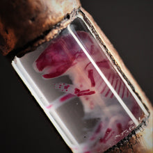 Load image into Gallery viewer, Diaphonized Amethyst Mouse Vial
