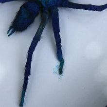 Load image into Gallery viewer, Vietnam Blue Tarantula Shadowbox
