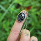 Mini Spider Web Necklaces