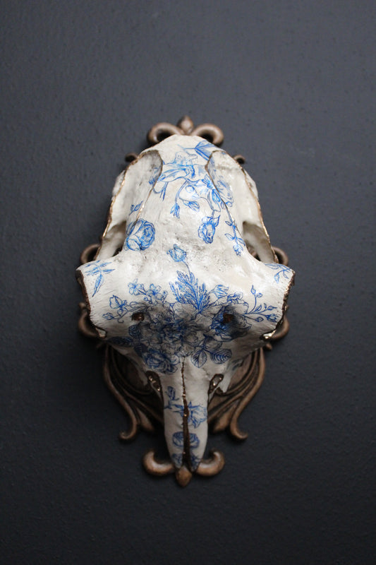 Delft Sheep Skull