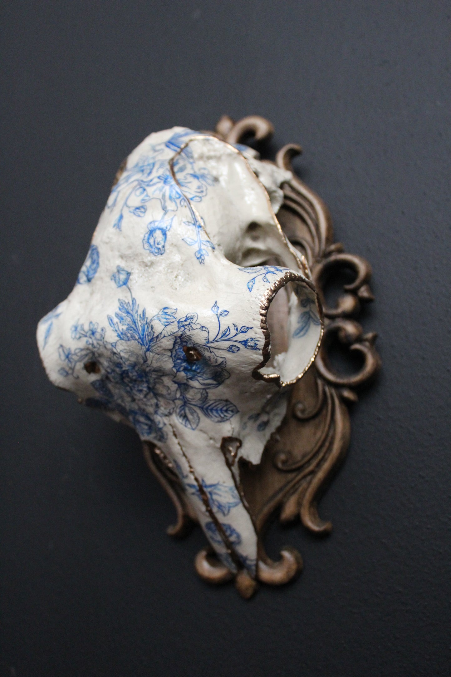 Delft Sheep Skull