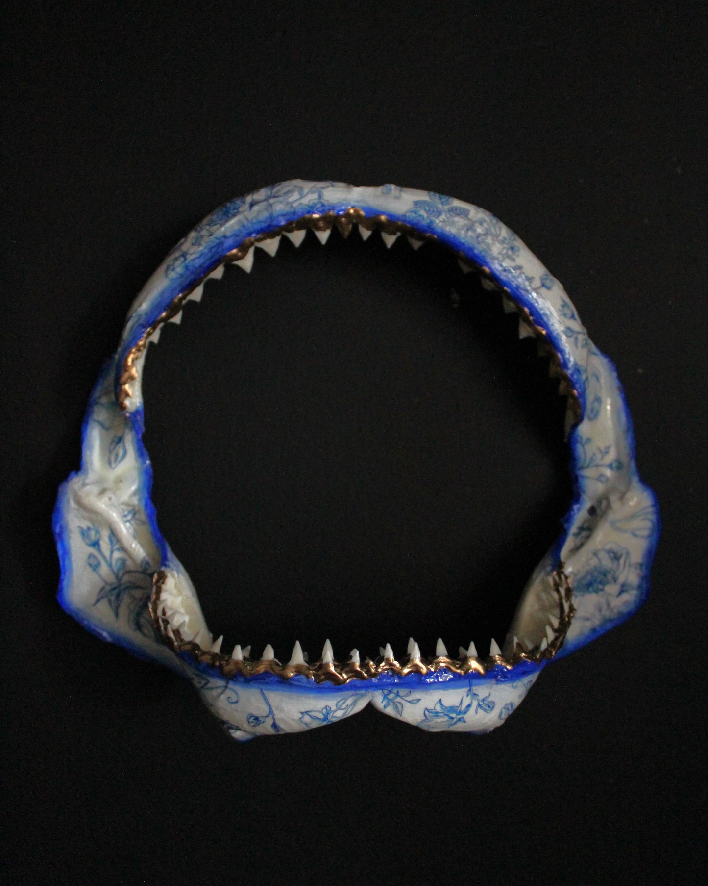 Bull Shark Jaw