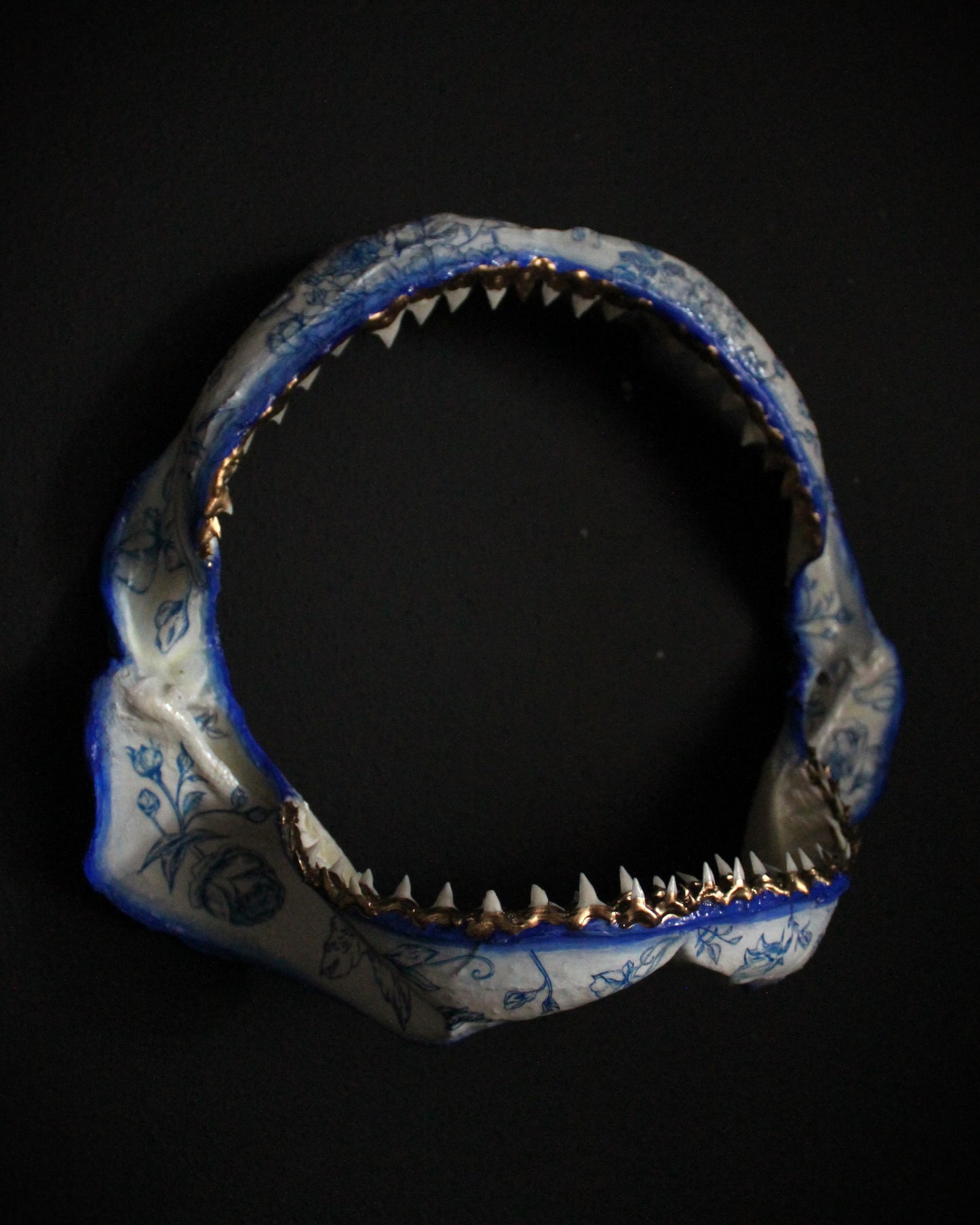 Bull Shark Jaw