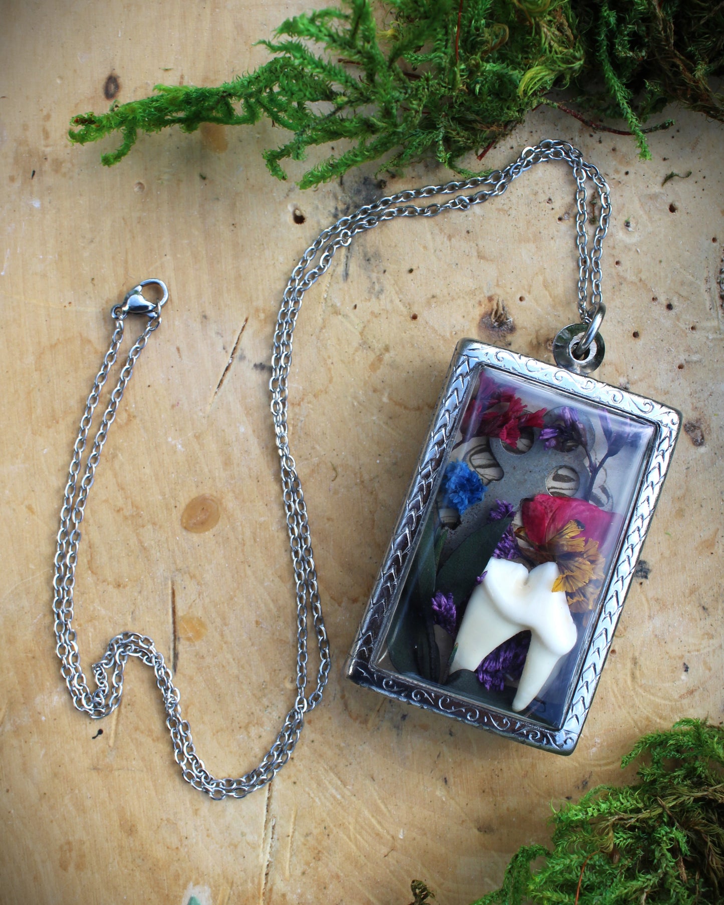 Coyote Tooth Reliquary