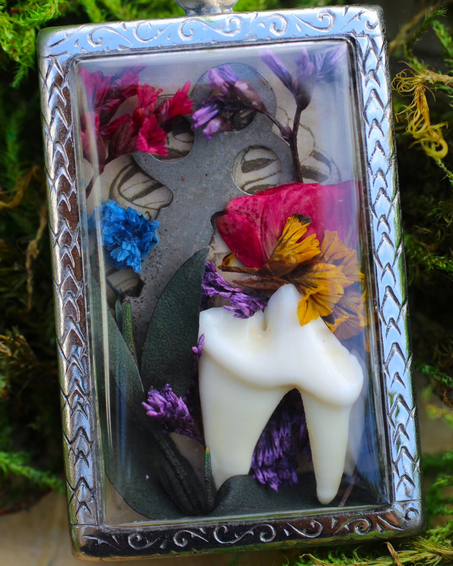 Coyote Tooth Reliquary