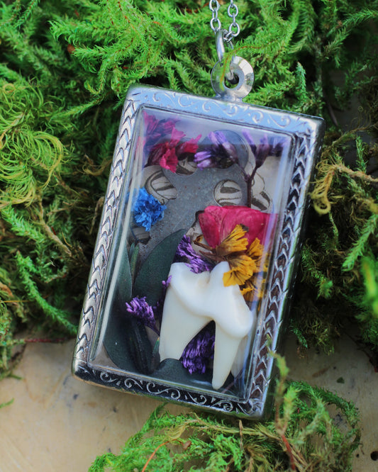Coyote Tooth Reliquary