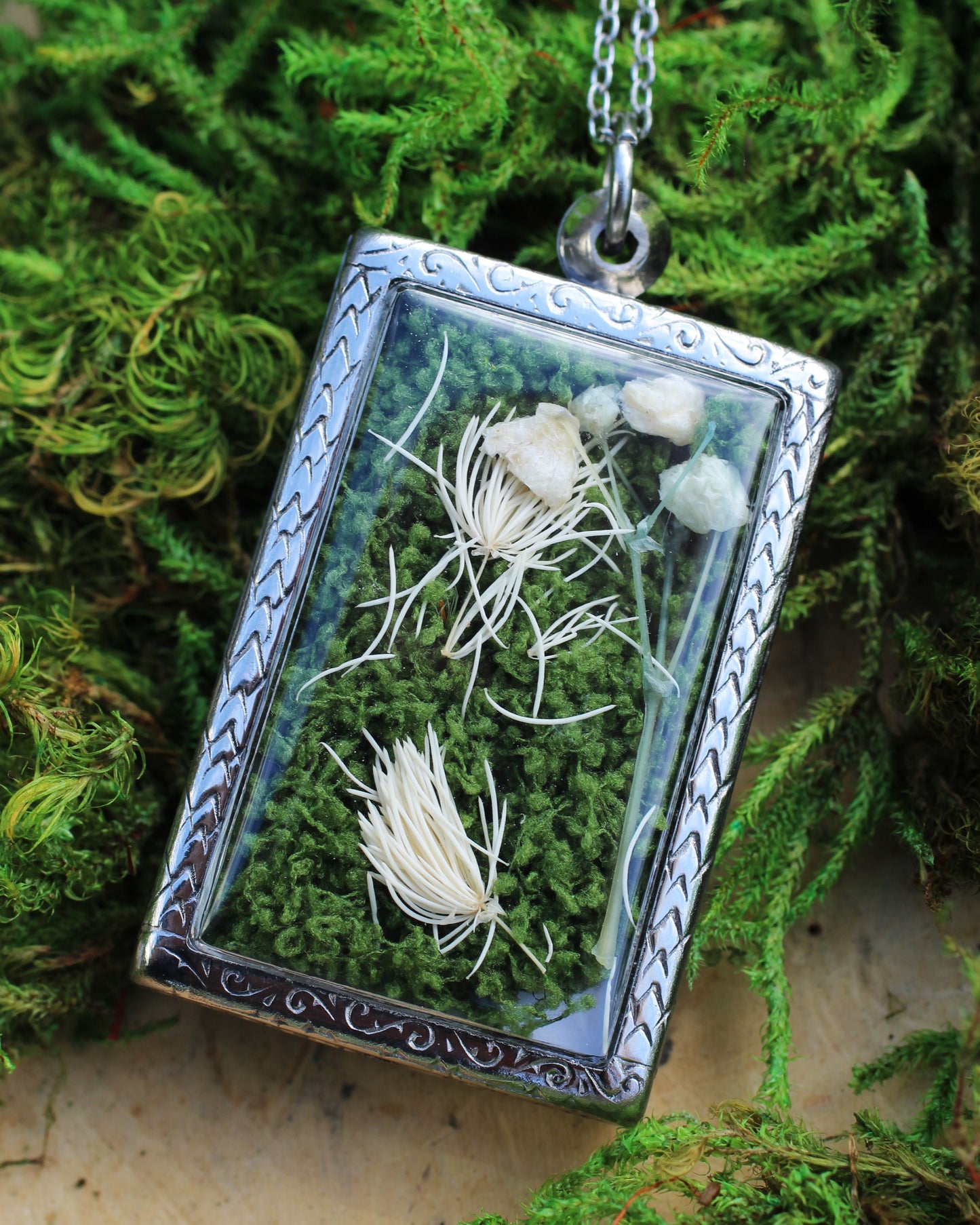 Coyote Tooth Reliquary