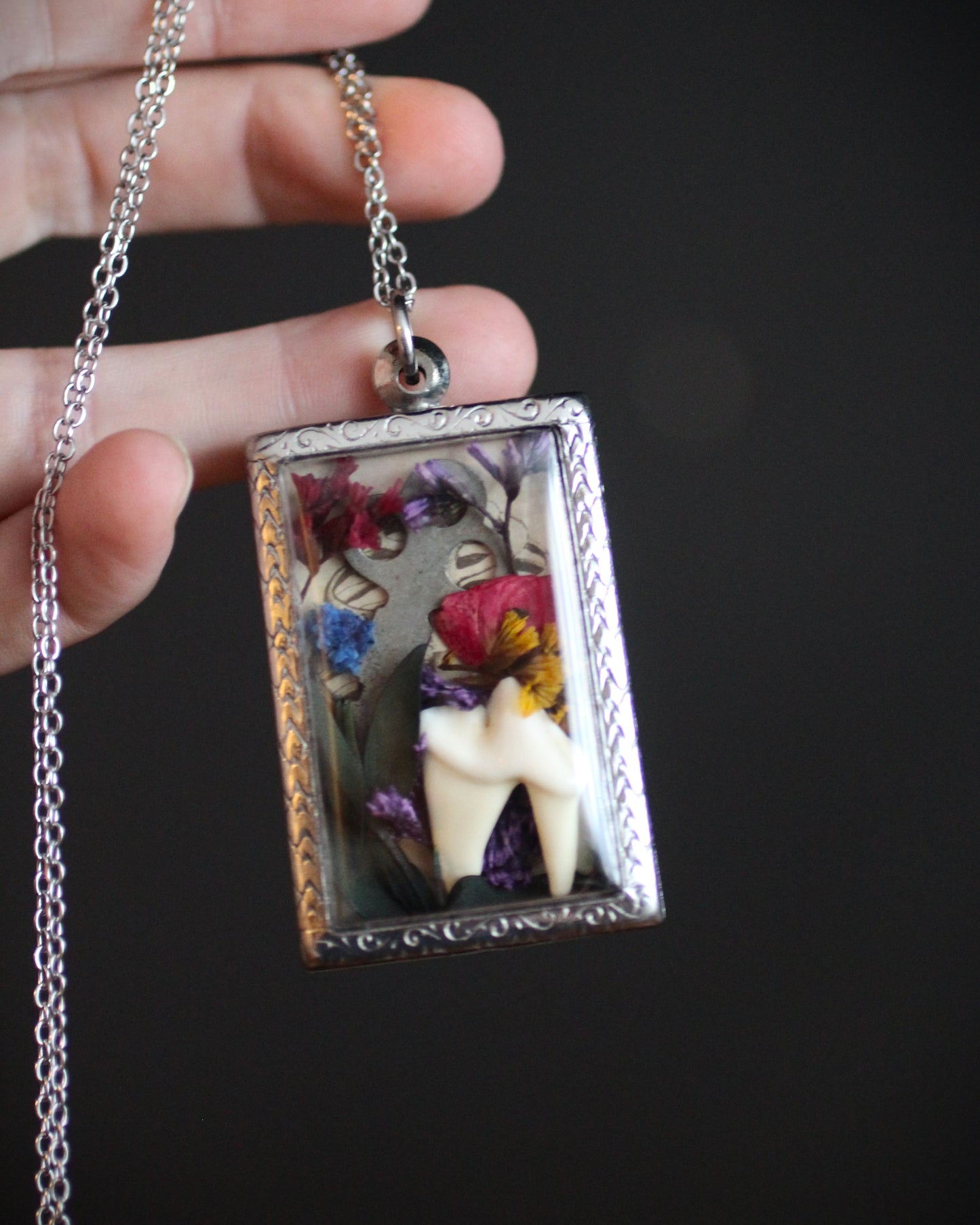 Coyote Tooth Reliquary