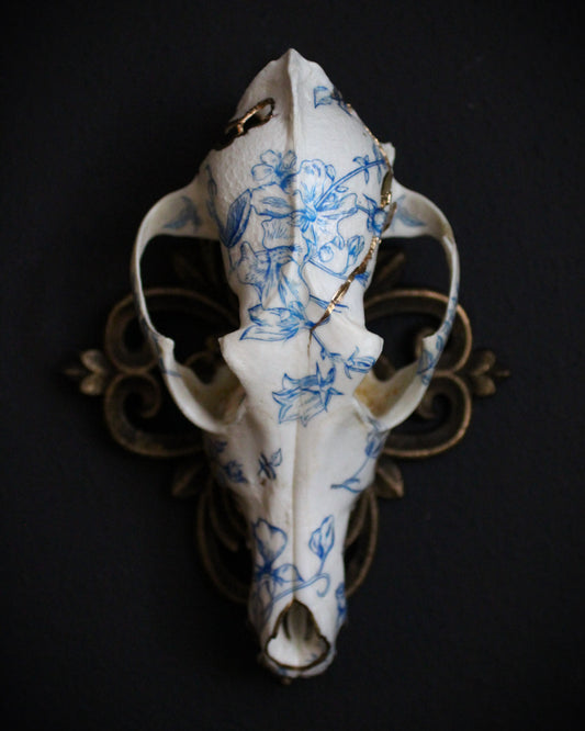 Delft Coyote Skull