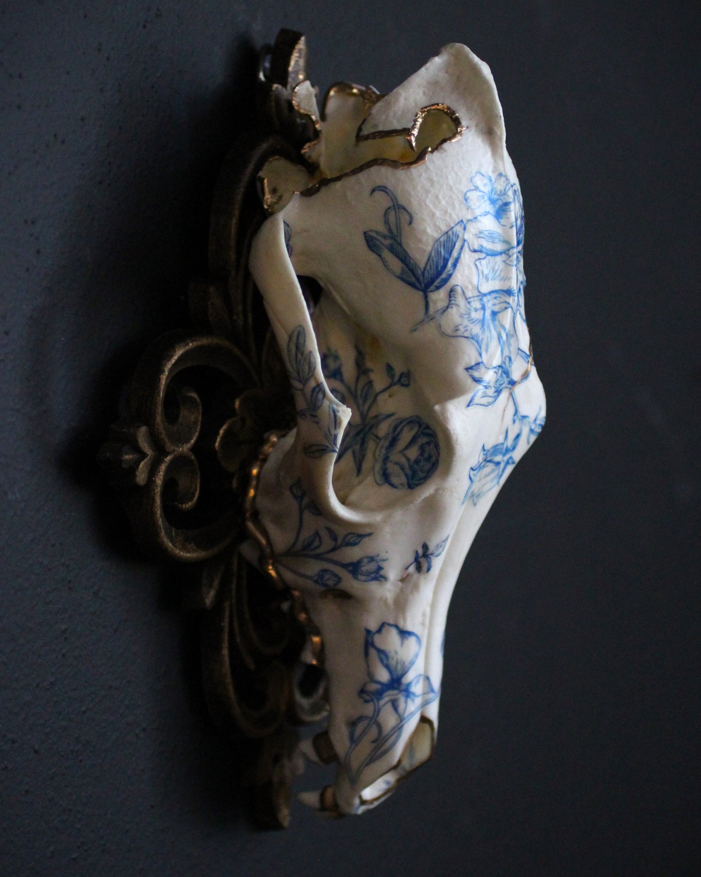 Delft Coyote Skull