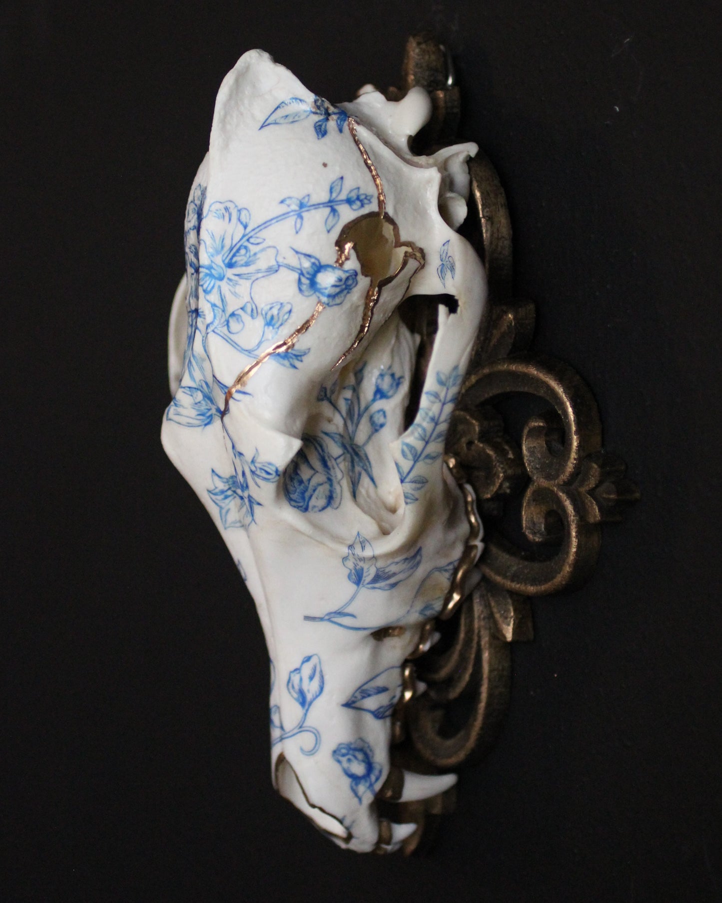 Delft Coyote Skull