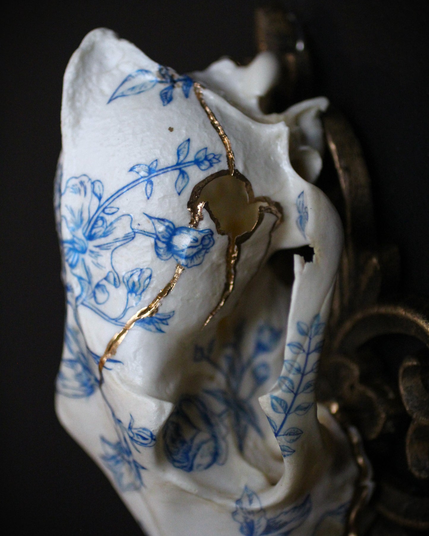 Delft Coyote Skull
