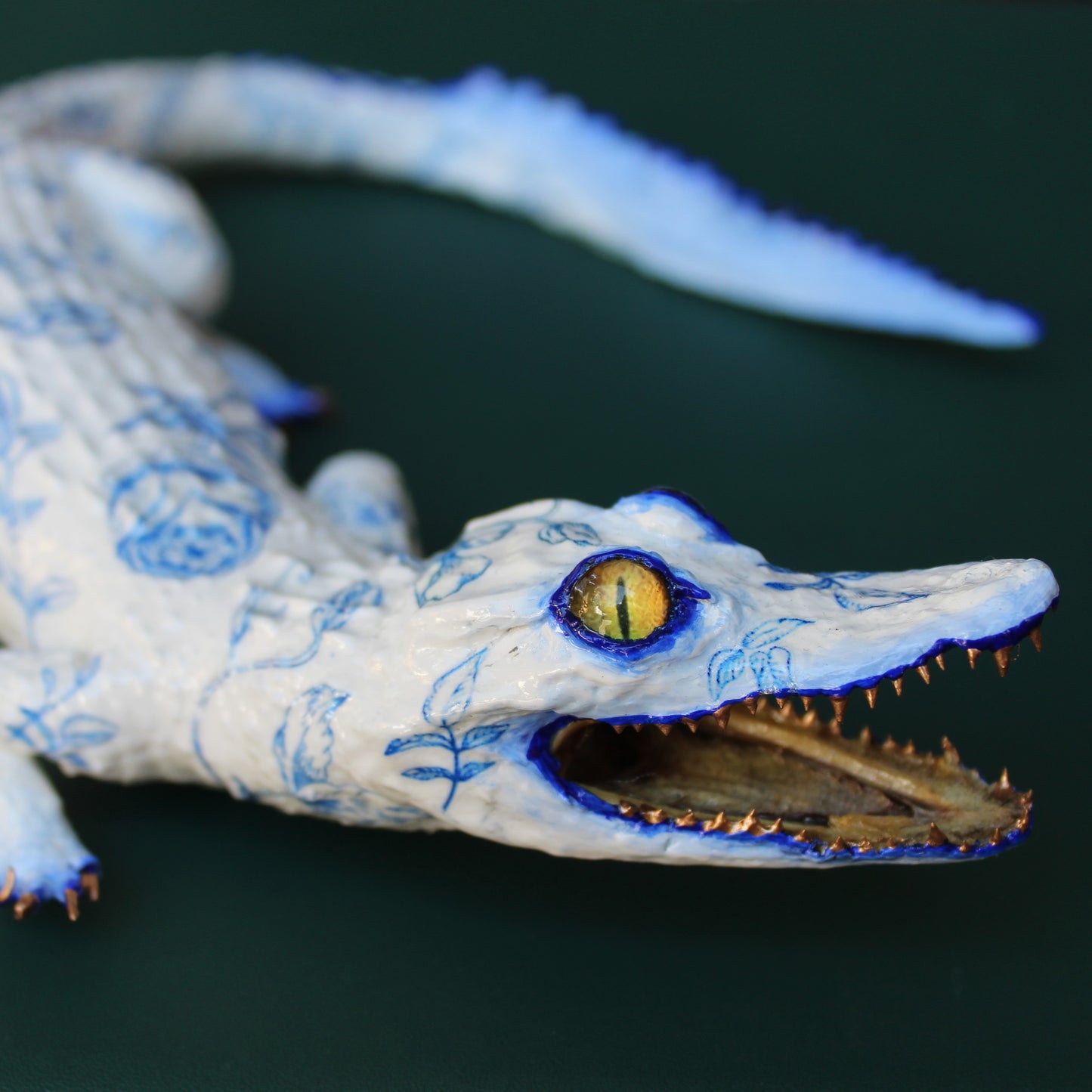 Delft Caiman