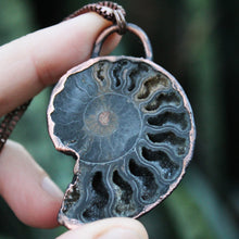 Load image into Gallery viewer, Ammonite Druzy
