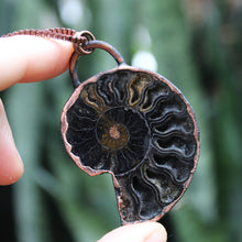 Load image into Gallery viewer, Ammonite Druzy
