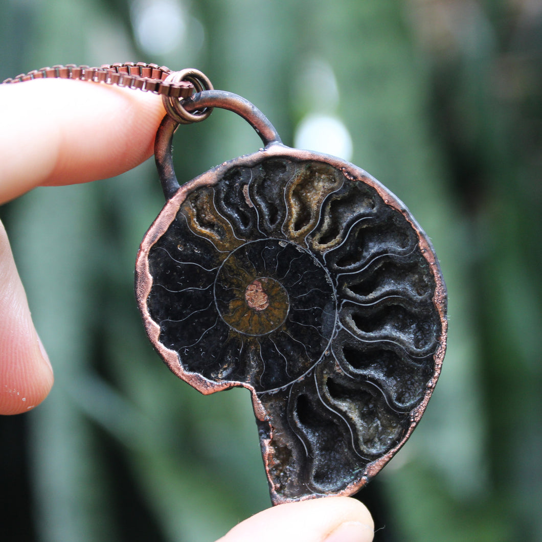 Ammonite Druzy