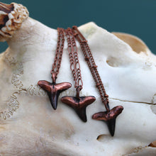 Load image into Gallery viewer, Shark Tooth Minis
