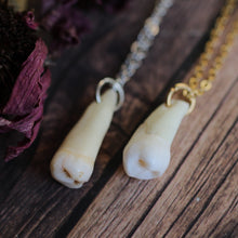 Load image into Gallery viewer, Human Teeth Necklaces
