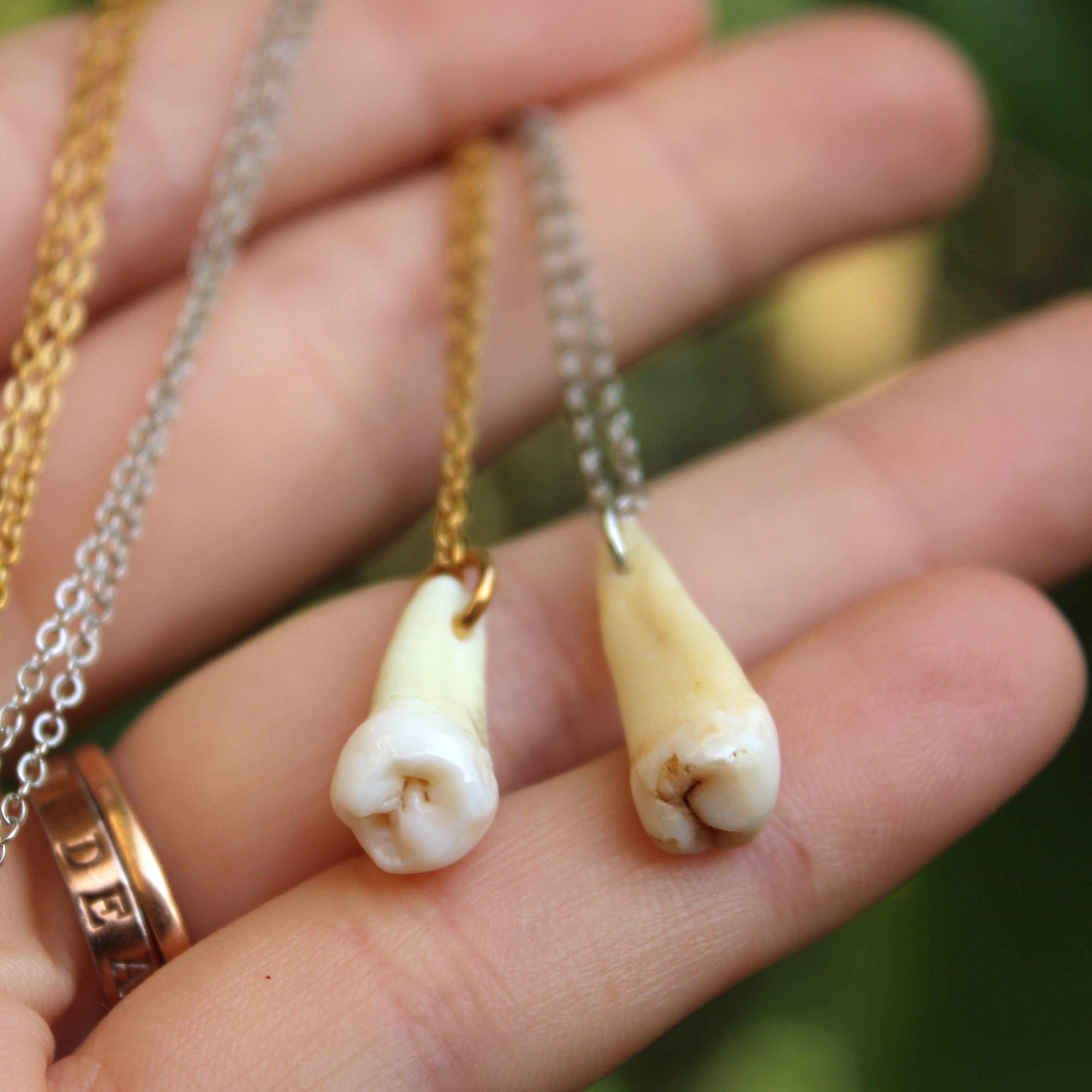 Shops Human Teeth Charm Necklace