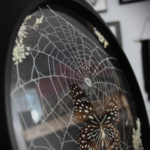 Load image into Gallery viewer, Framed Butterfly Spider Web
