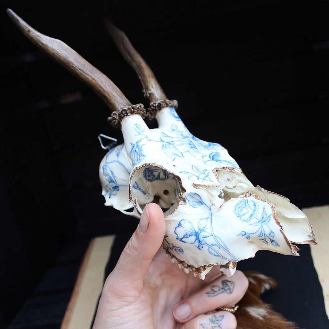 Blue Floral Roe Skull