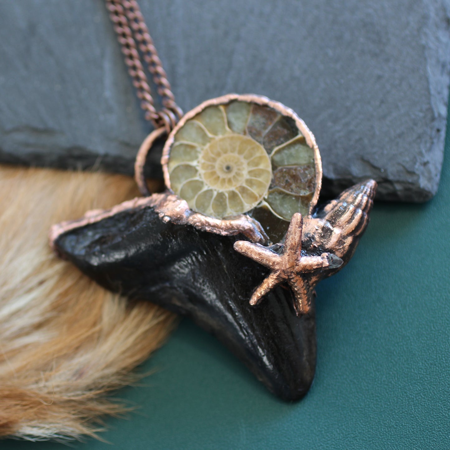 Ammonite Megalodon Tooth Necklace