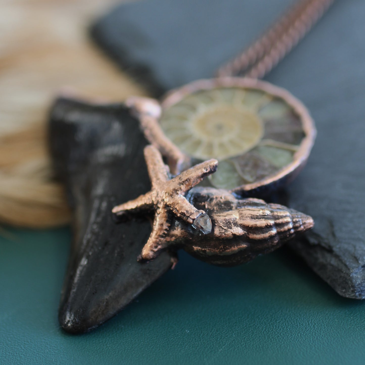 Ammonite Megalodon Tooth Necklace