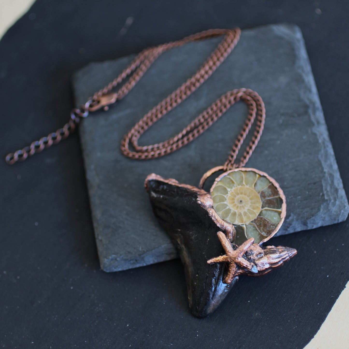 Ammonite Megalodon Tooth Necklace