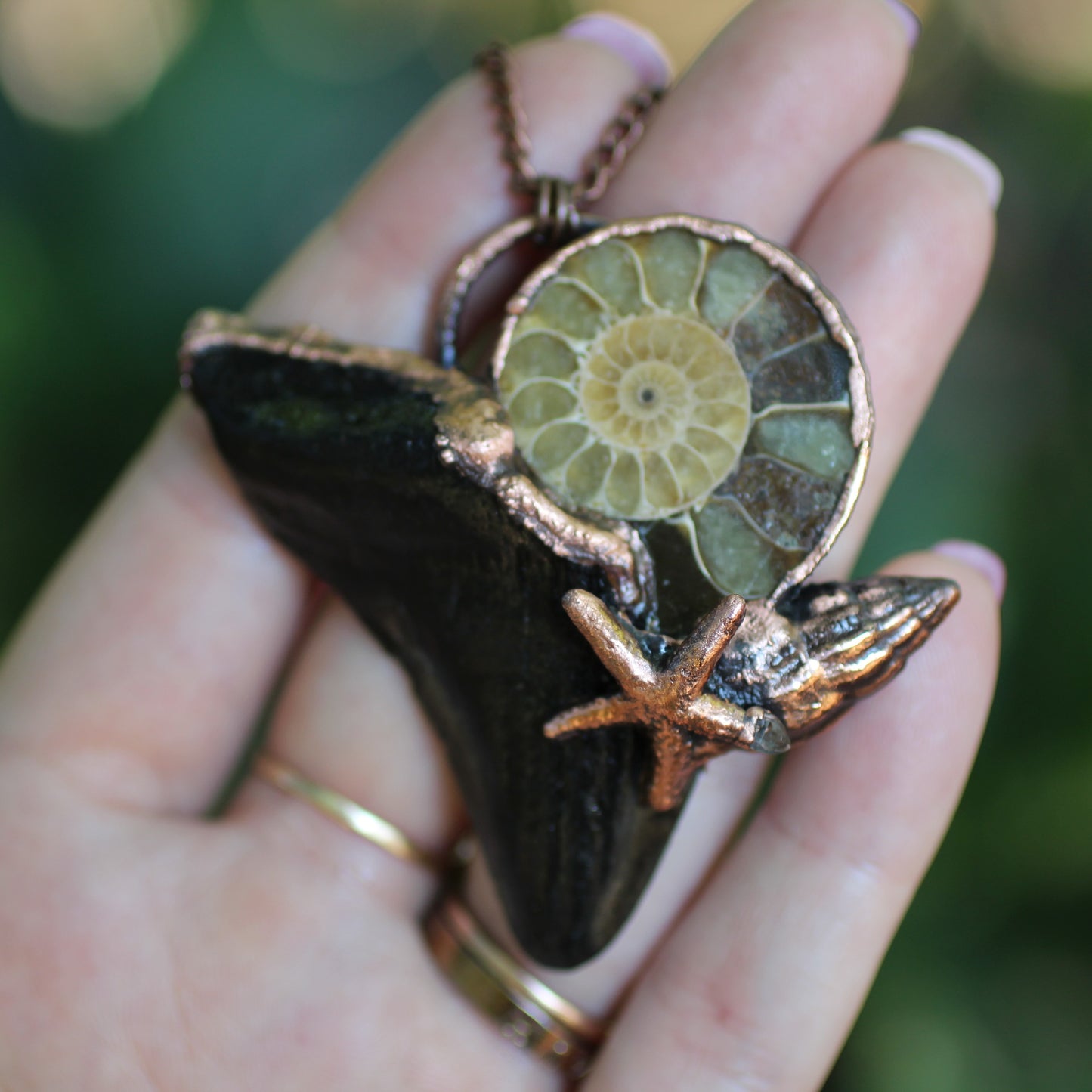 Ammonite Megalodon Tooth Necklace