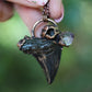 Fossilized Otodus Shark Tooth