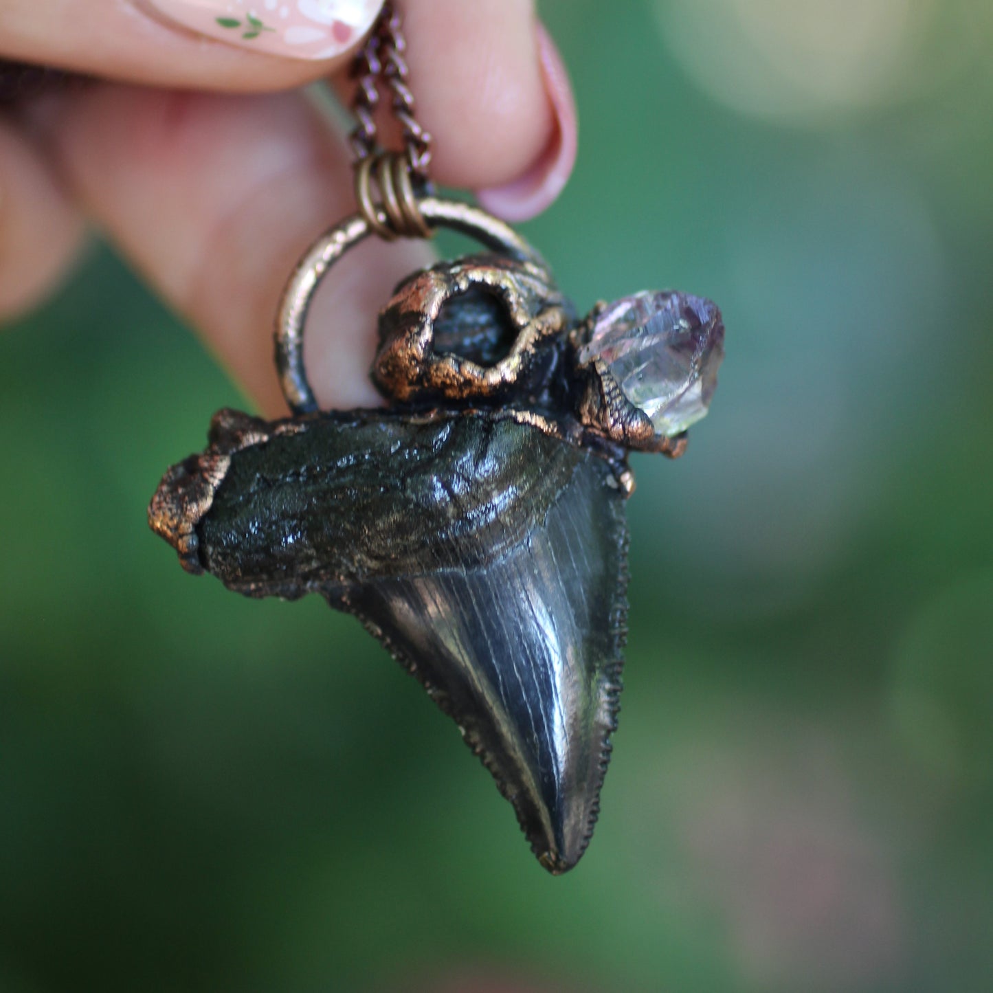 Fossilized Otodus Shark Tooth