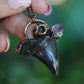 Fossilized Otodus Shark Tooth