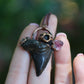 Fossilized Otodus Shark Tooth