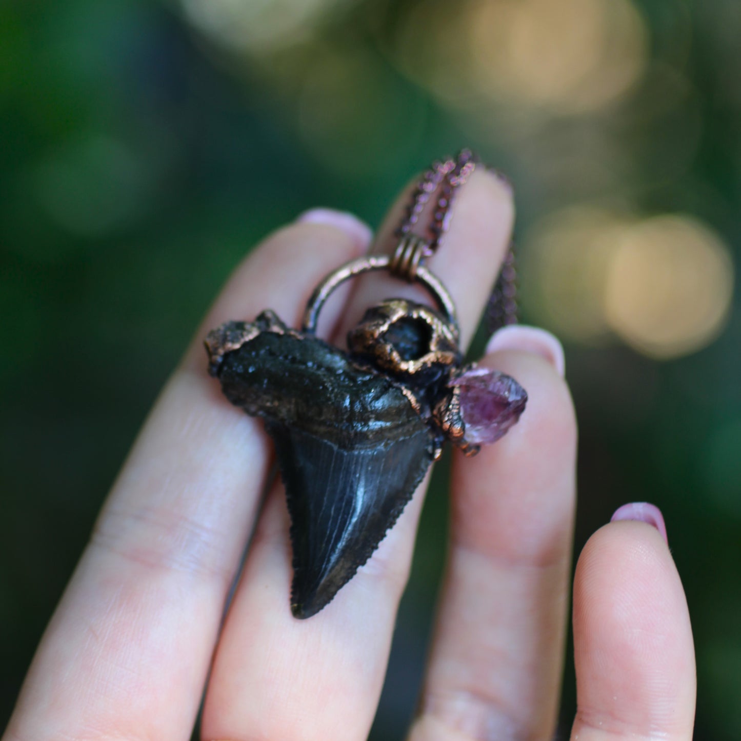 Fossilized Otodus Shark Tooth